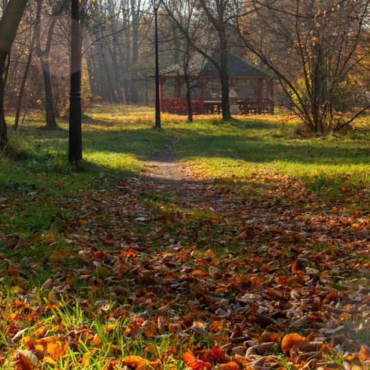 Wygoda Park in Sosnowiec