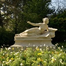 Vénus