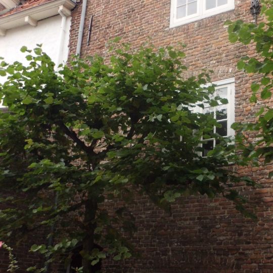 Muurhuizen 243, Amersfoort