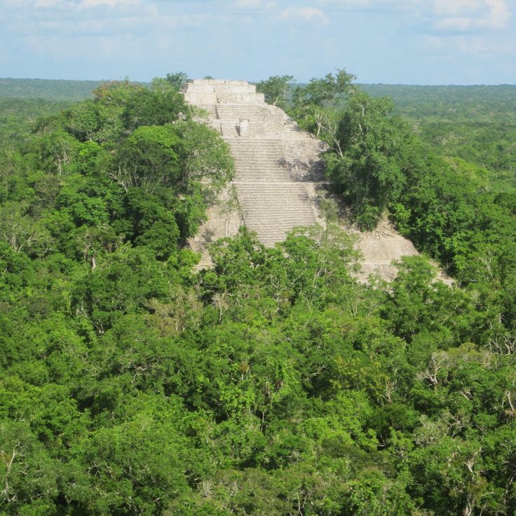De verloren stad Calakmul