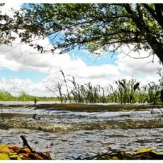 Parque Nacional de los Esteros de Farrapos e Islas del Río Uruguay