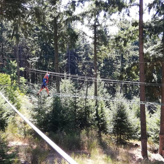 Au Fil des Arbres