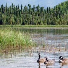 Goose Lake