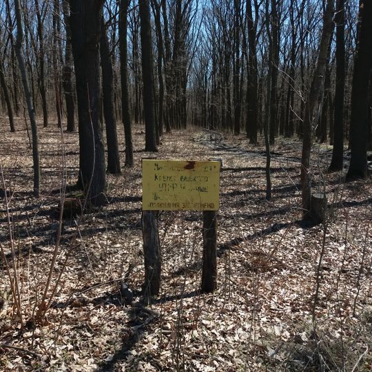 Balka Shyroka, Kremenchuk Raion