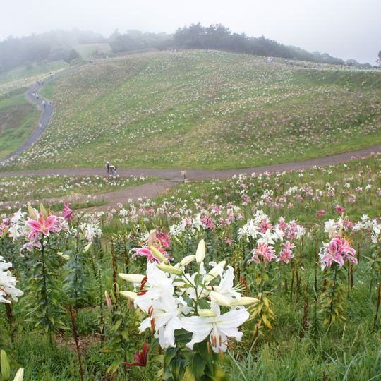 箱館山スキー場