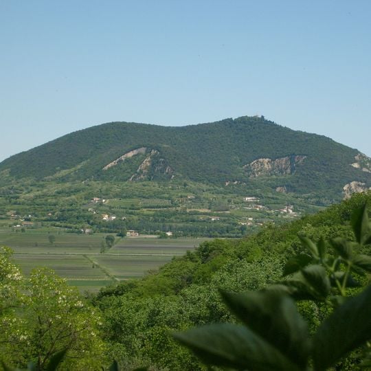 Monte Ricco