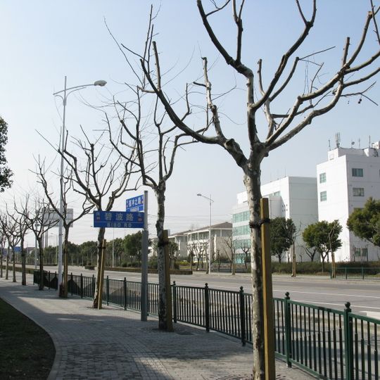 Zhangjiang Hi-Tech Park