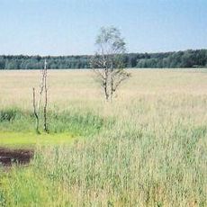 Plöwensches Seebruch