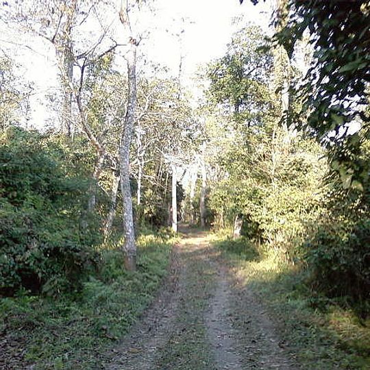 Sanctuaire faunique de Bura Chapori