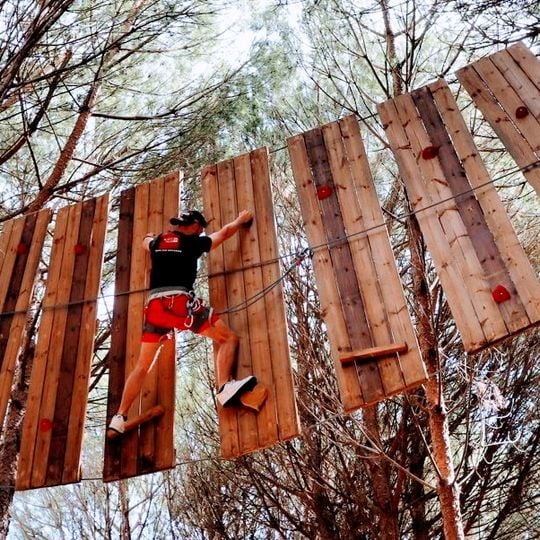 Acrobatic Adventure Park