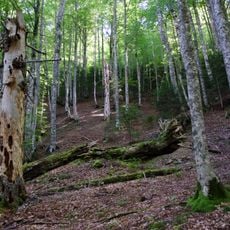 Reserva Integral de Aztaparreta