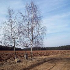 Kříž severně od Štichovic