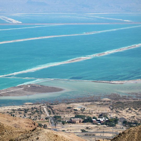 Samorząd regionu Tamar
