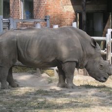 Rostov Zoo