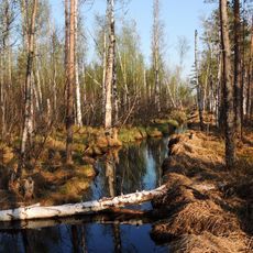 Rdeysky Nature Reserve