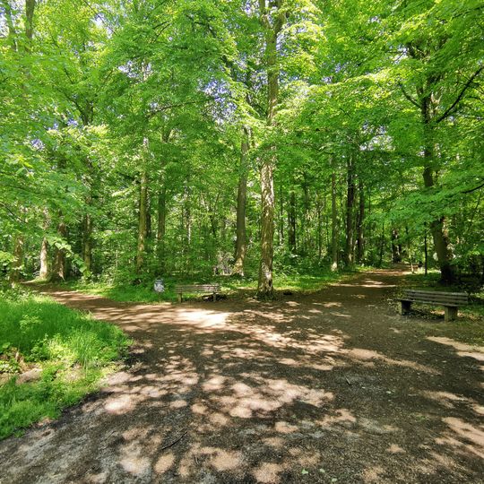 Salonwald und Umgebung