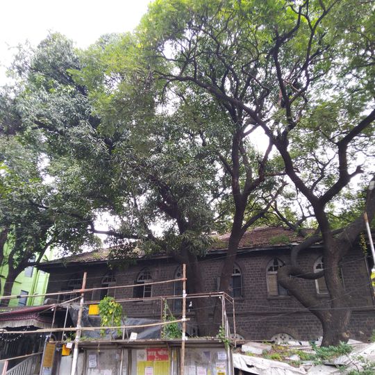 Chhatrapati Shivaji Audyogik Prashikshan Sanstha