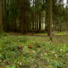 Keltenschanze Möckenlohe