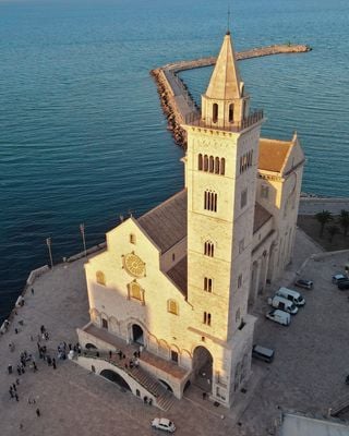 Aerial View 4