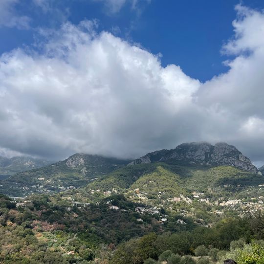 La Ferme des Citrons