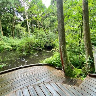 Was tun in Toyama: Museen, Parks und Berge, Touristenattraktionen