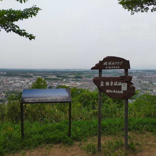 Kontaiji Castle