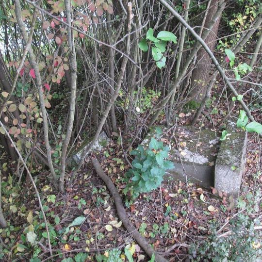 Kříž jižně od Milíkova I