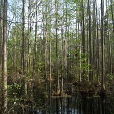 Woods Bay State Park