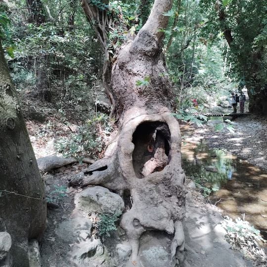 Potami - Waterfalls - Tsourlei - Potami