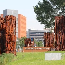 Vijf beelden op een kromme