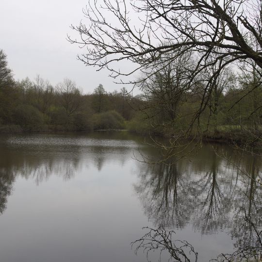 Vogelsbergteiche und Lüderaue bei Grebenhain