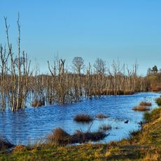 Burlo-Vardingholter Venn/Entenschlatt