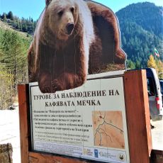 Музей на мечката