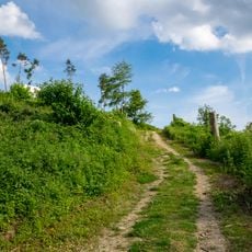 LSG-Lipper Bergland mit Steinheimer Becken, Blomberger Hoehen, Sabbenhauser Mulde und Schwalenberger Hoehen