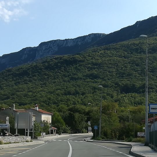 Vozilići