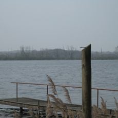 Wald- und Moorlandschaft um den Röggeliner See