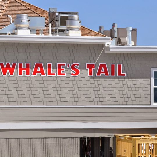 The Whale's Tail Beach Bar & Grill