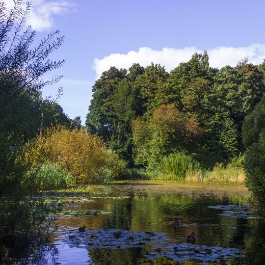 Park of Saint Petersburg State Forestry Academy