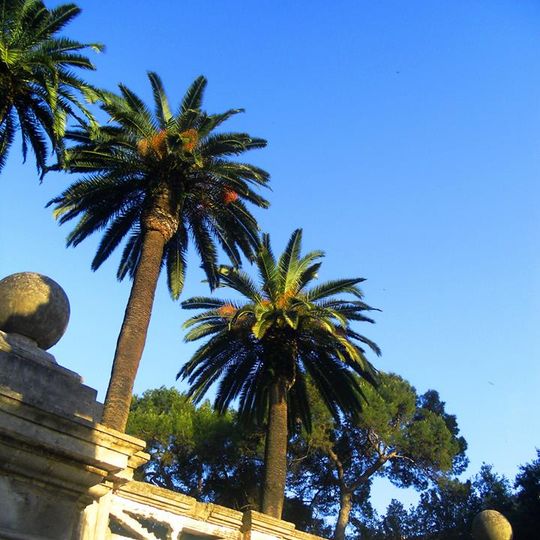 Giardini Peripato