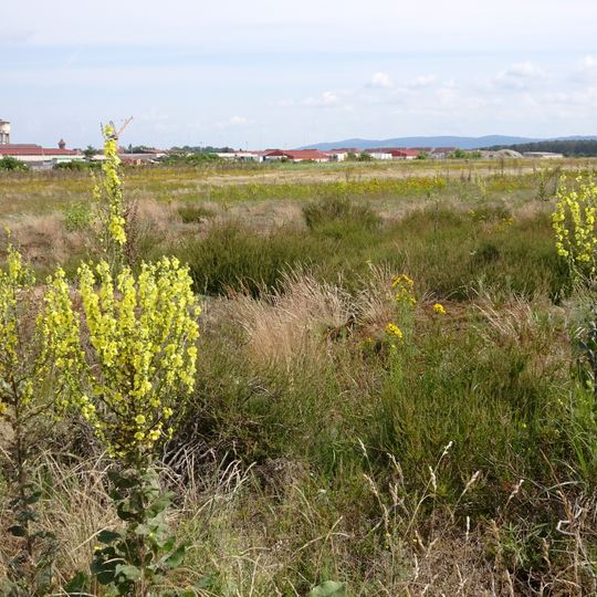In den Rödern bei Babenhausen