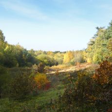 Ölbachtal mit Augustdorfer Dünenfeld