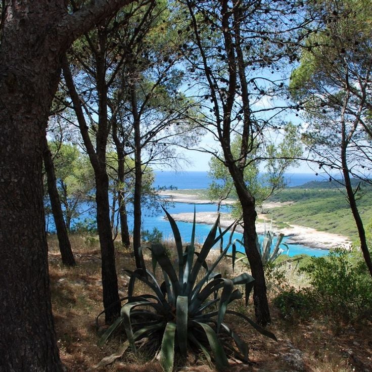 Porto Selvaggio