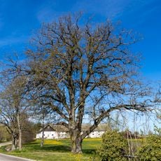 2003613 Ek 15 m V Adamsbro