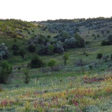 Verkhnio-Kilchenskyi Landscape Reserve