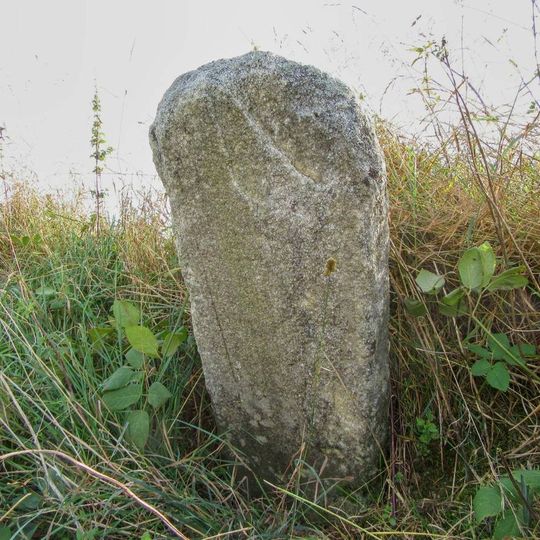 Křížový kámen ve Věchnově u polní cesty