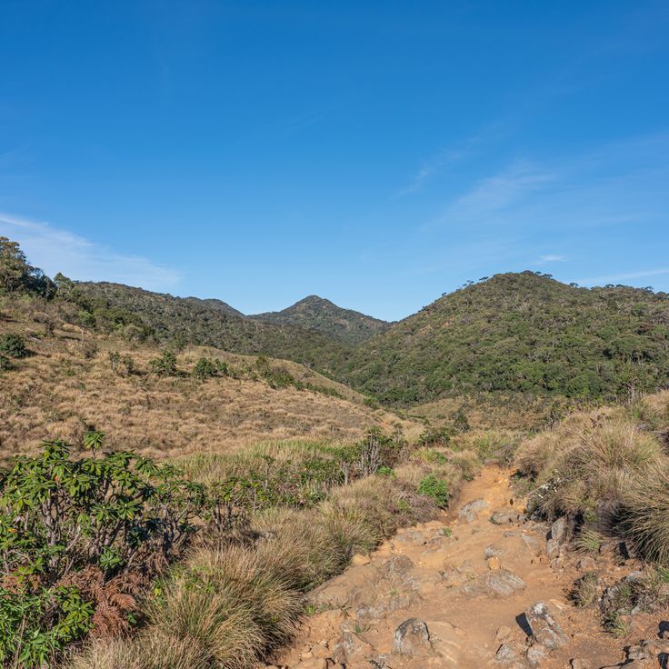 Parc national de Horton Plains
