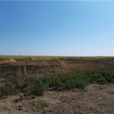 State wildlife sanctuary "Kara-Kir"