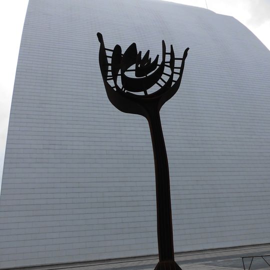 Rosa Vermelha de Paita