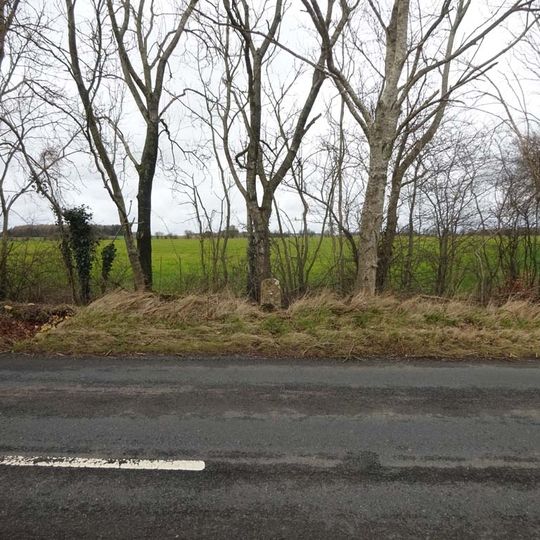 Milestone, New Covert