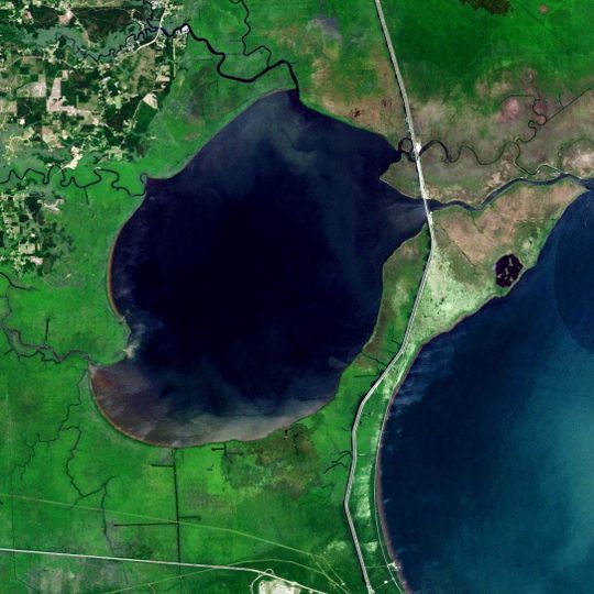Lake Maurepas